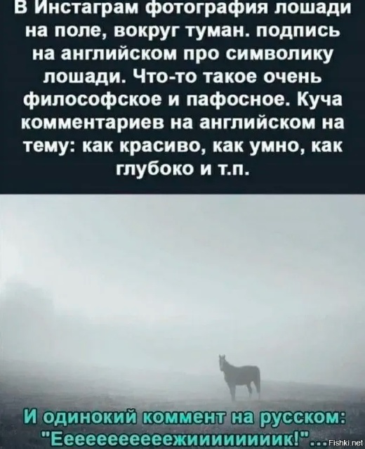 Всякая смешная фигня