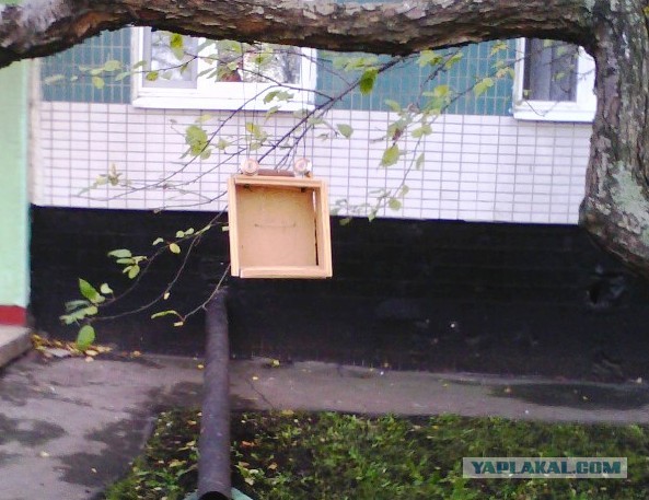 Почистил телефон