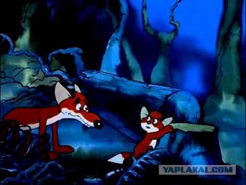 Лиса утащила кошку с площадки многоквартирного дома.