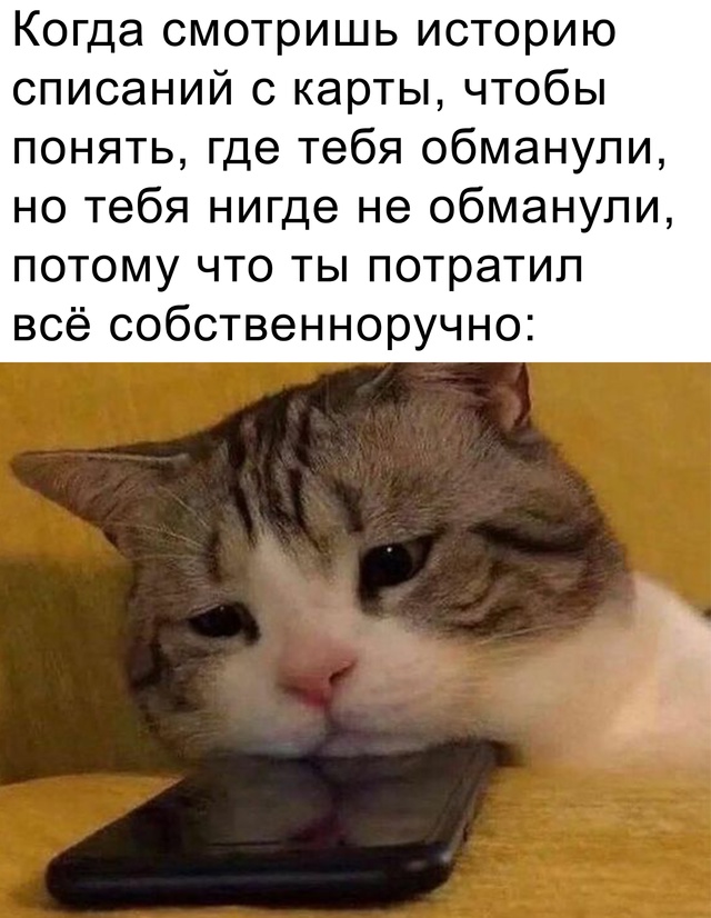 Весёлый полтишок 10.12.24