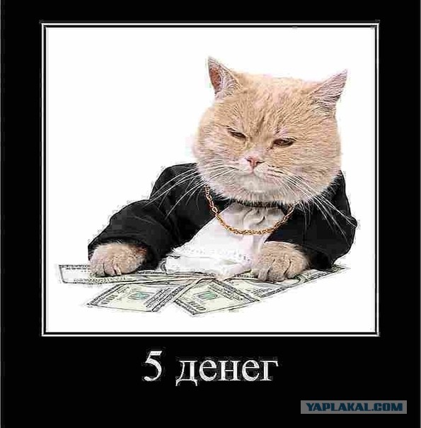 Девки хотят пацанов с доходом свыше 150 тысяч. А где такие зарплаты?