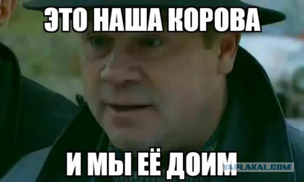 Гни свою линию