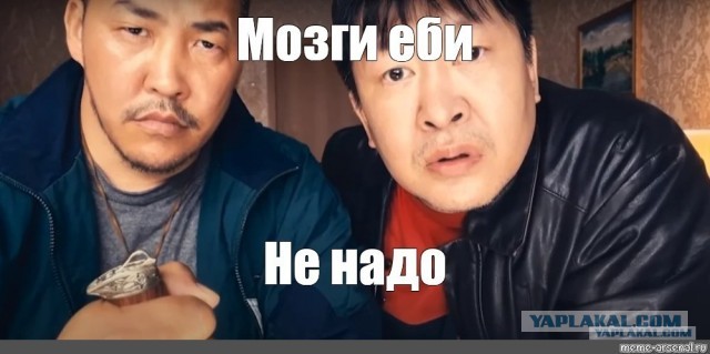 Полицейские в Подмосковье задержали водителя и пассажира "Газели"