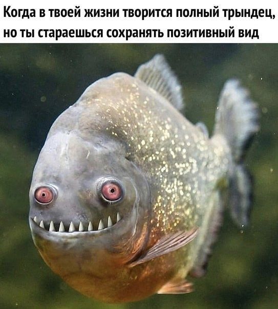 Марина, не нуди