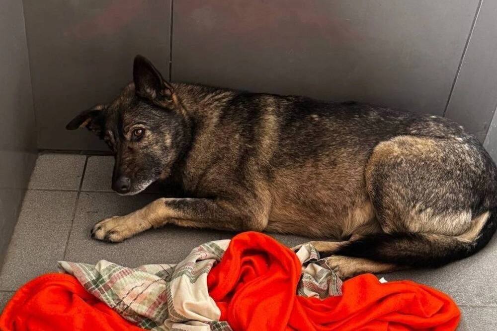 «Наша вина в том, что не решили проблему раньше»