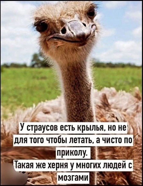 Прикольные и просто красивые картинки 03.04.2026