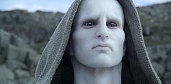 Охотницы вышли на новый уровень⁠
