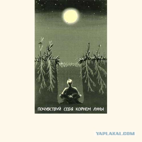 А Вам не кажется что луна какая-то большая?