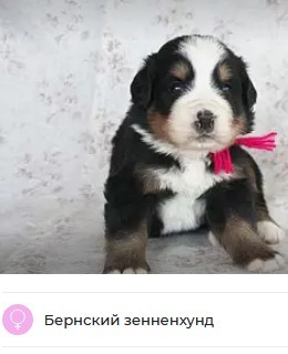 Шерстяной укающий комочек
