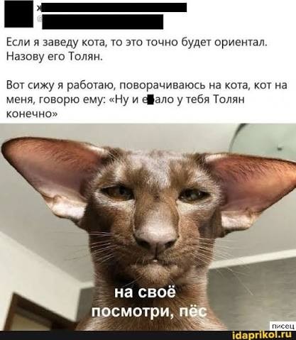 Очаровательный ушастик