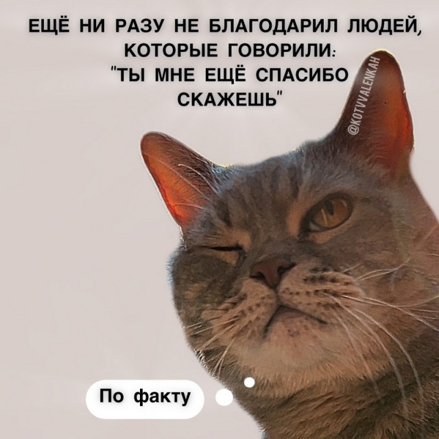 К котовторнику: подборка картинок-баянов с котиками и про котиков. Выпуск 40.
