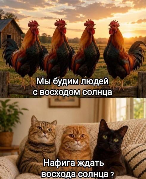Картиночки, баянчики 27 июня