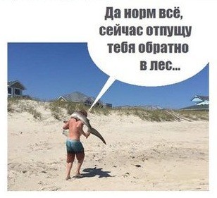 Фауна на Мальдивах в июле