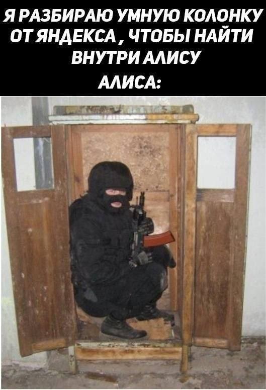 Картинки для деградации 248 (разной степени свежести)