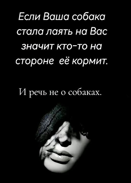 Так себе картинки 22.08.26