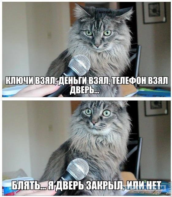 Вот это поворот!