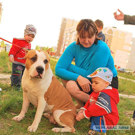Собакочетверг на 02.01.2014