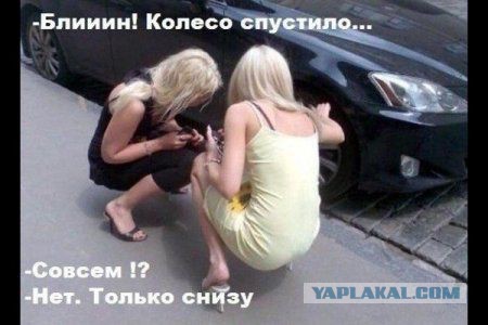 Очередная подборка смешных высказываний