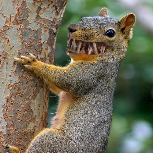 Я не нюхал кокс )