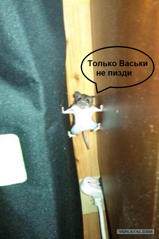 Врасплох