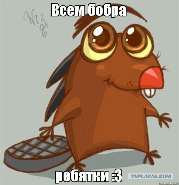 Добряки, плюсующие всех подряд
