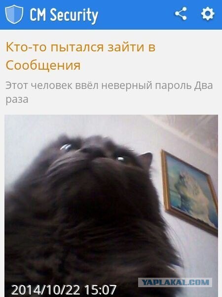 Смешные картинки