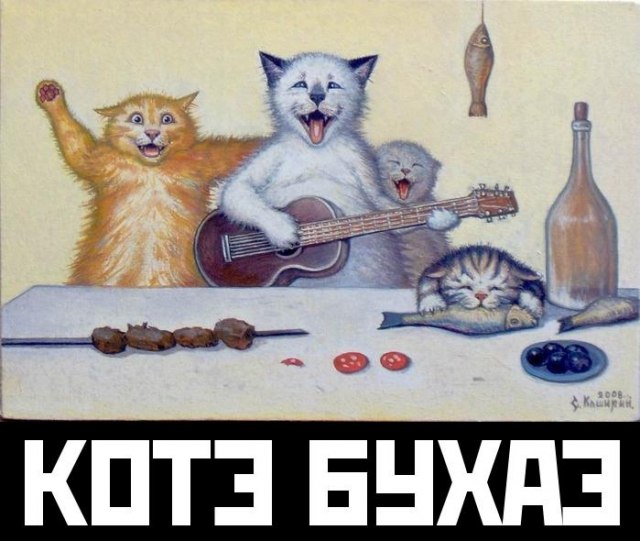 "Морские котики" - они на самом деле вот такие!