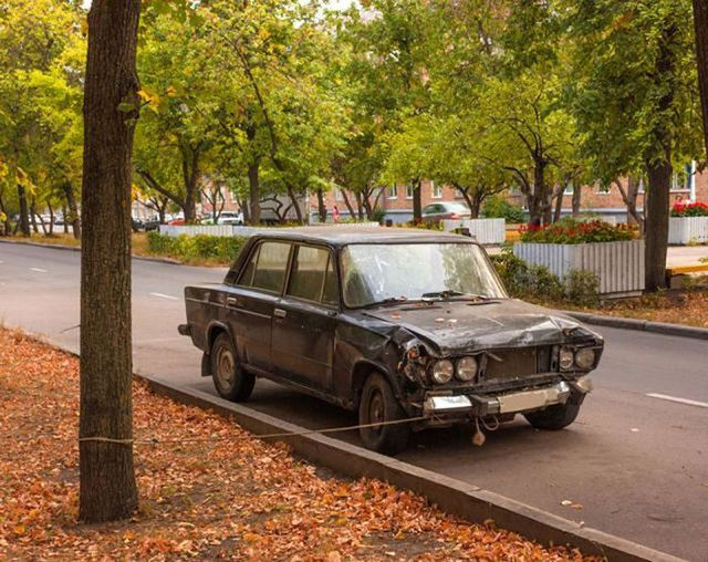 Весёлые картинки