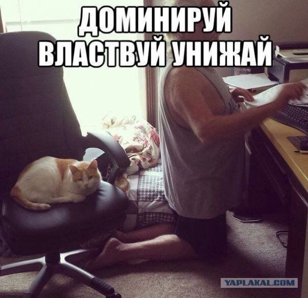 Давно демотиваторов не было