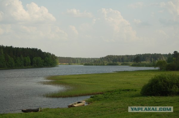 Наше все за МКАДом