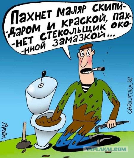 Британский юнец заказал туалетную бумагу в поезд
