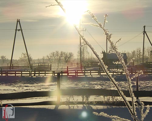 Работнички...