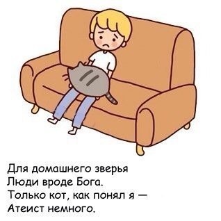 28 поводов завести кота