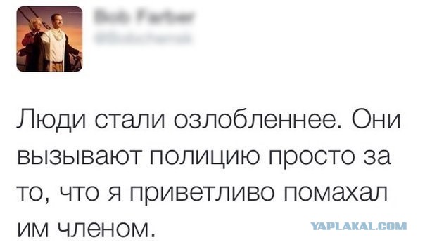 Забавные картинки из Сети