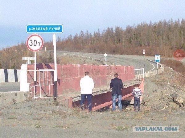 Забавные картинки из Сети