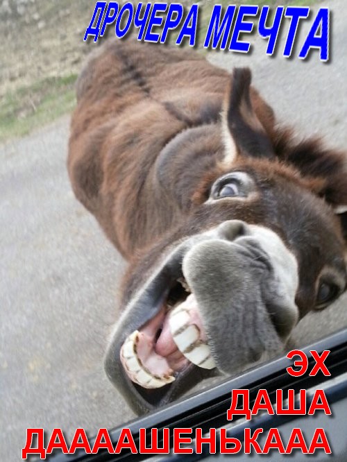 Ох уж эта Даша!