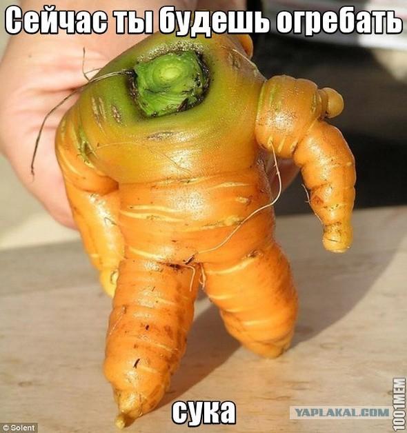 Апофения — поиск взаимосвязей в случайных данных.