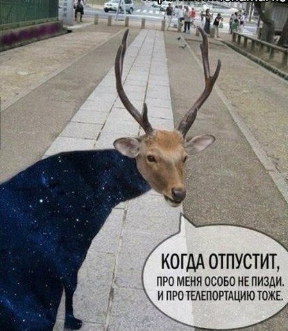 Третья мировая уже началась
