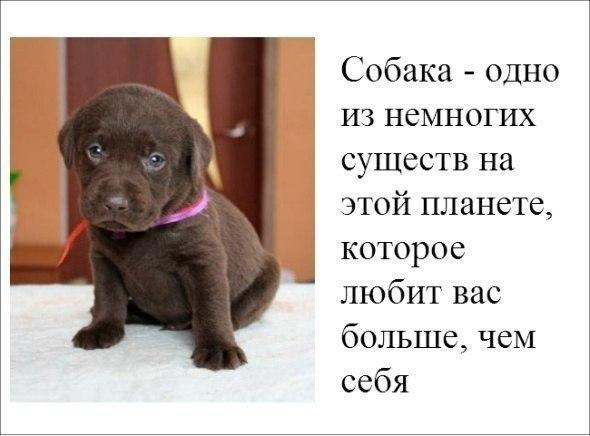 Картинки и демотиваторы