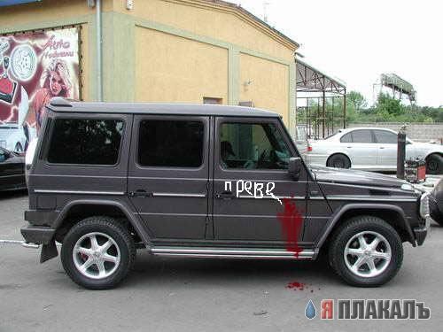 Превед медвед!