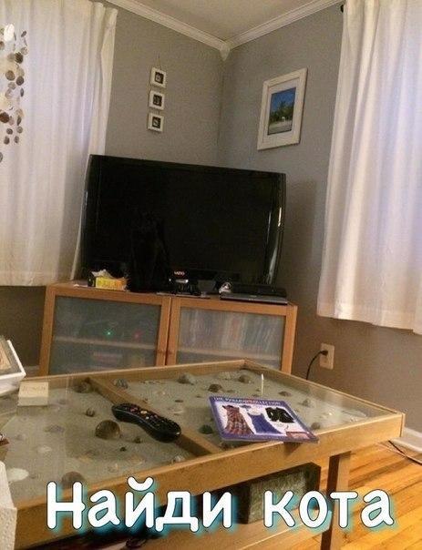 Подборка Картинок из сети