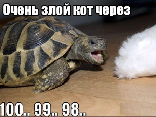 Злые шутки или минутка сарказма на ЯП-е, 16+
