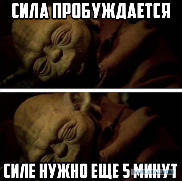 40 улыбательных картинок