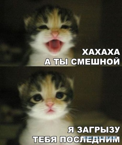 Ужасы и приколы из соцсетей