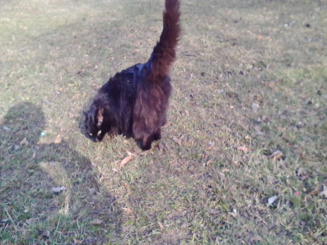 КотоВторник 26.04.2016