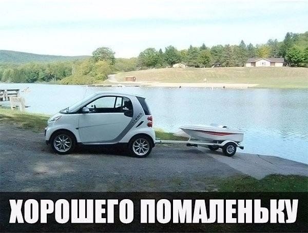 Интересные и веселые картинки