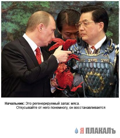 Фотожаба: Путин и Японцы