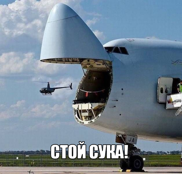 Подборка картинок