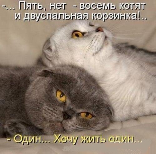 Когда сказали, что скоро станешь отцом.