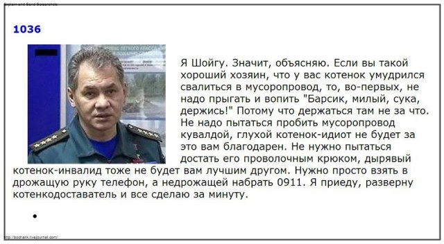 Точечное спасение котенка